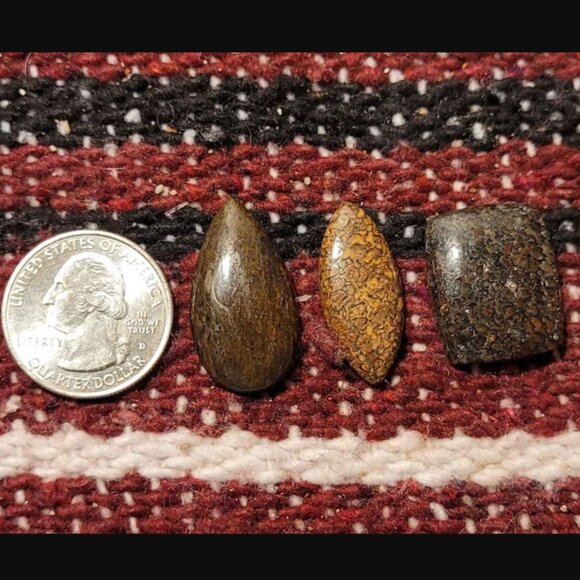 HUGE DEAL Utah Gembone (Dino Bone) Cab Lot of 3- 50.5CTS - Picture 11 of 11